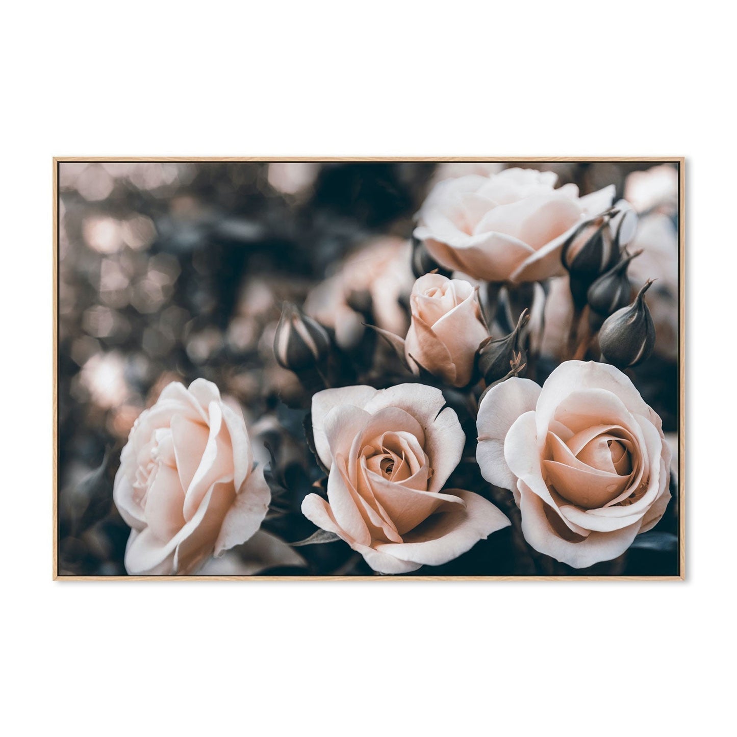 wall-art-print-canvas-poster-framed-Rose Garden, Style A-by-Gioia Wall Art-Gioia Wall Art