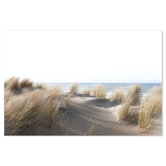 wall-art-print-canvas-poster-framed-Sand Dune And Grass By The Beach-by-Gioia Wall Art-Gioia Wall Art