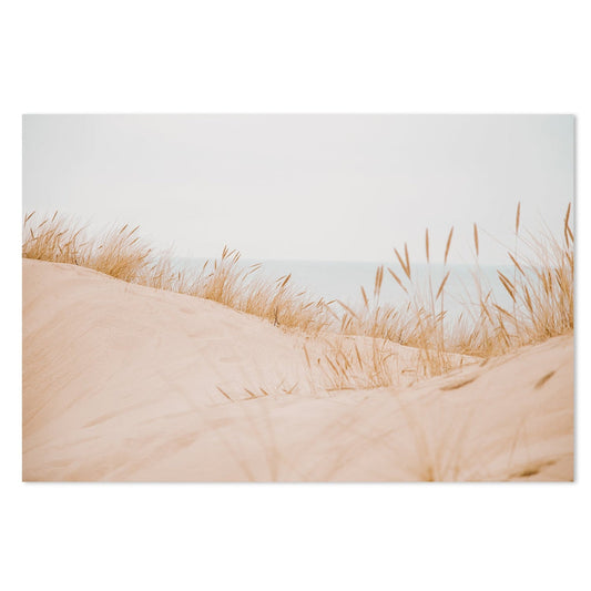 Buy Sand Hills And Reeds Wall Art Online, Framed Canvas Or Poster