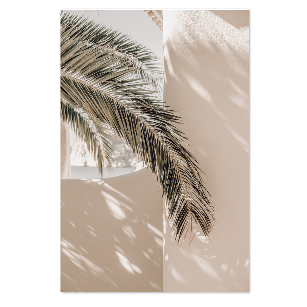 wall-art-print-canvas-poster-framed-Shadows Cast By A Palm Tree, Leaf, Tree And Cactus Plant, Set Of 4-by-Gioia Wall Art-Gioia Wall Art