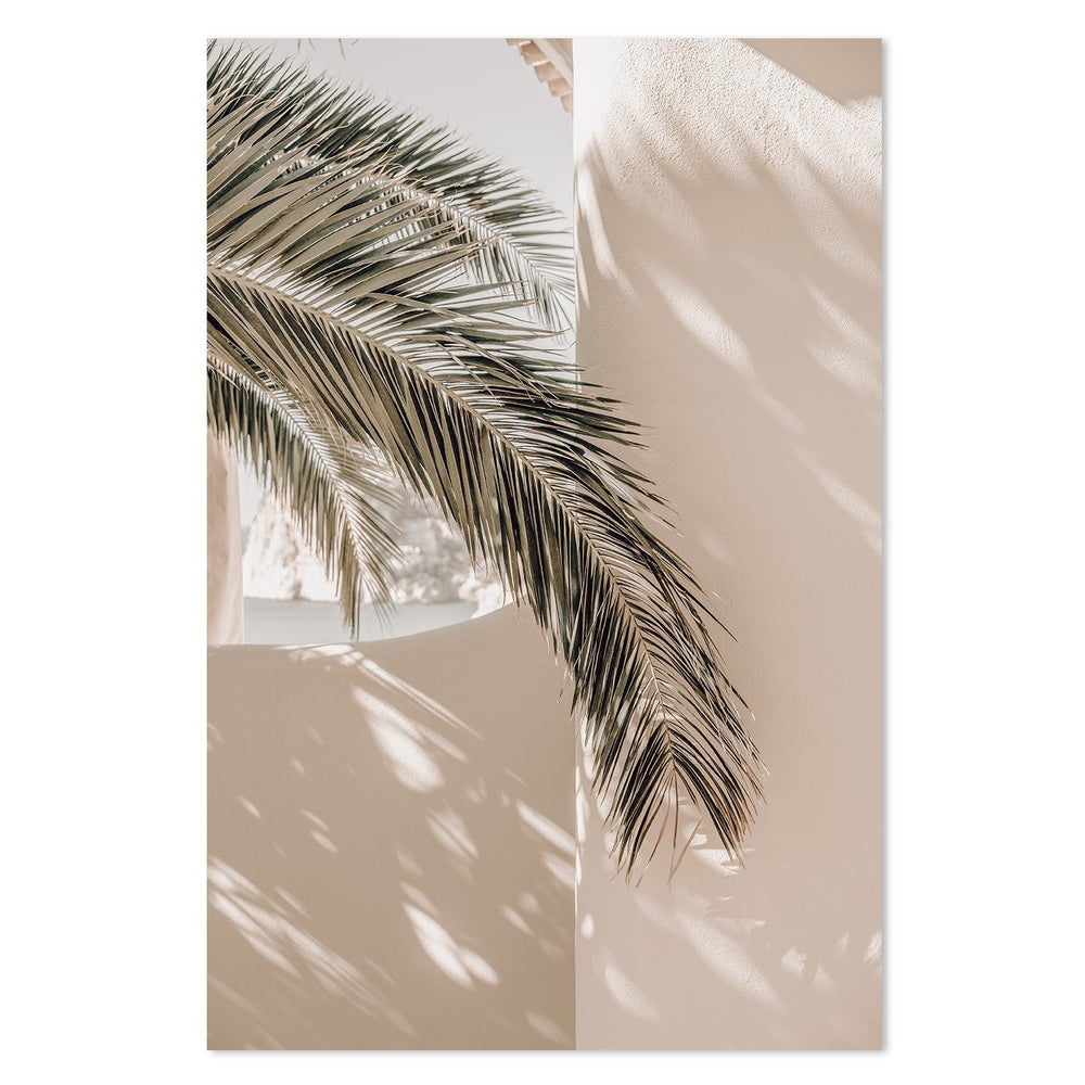 wall-art-print-canvas-poster-framed-Shadows Of A Palm-by-Gioia Wall Art-Gioia Wall Art