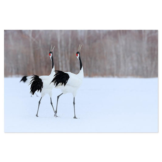 wall-art-print-canvas-poster-framed-Singing Cranes-by-Gioia Wall Art-Gioia Wall Art