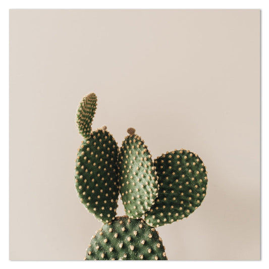 wall-art-print-canvas-poster-framed-Single Cactus Plant-by-Gioia Wall Art-Gioia Wall Art