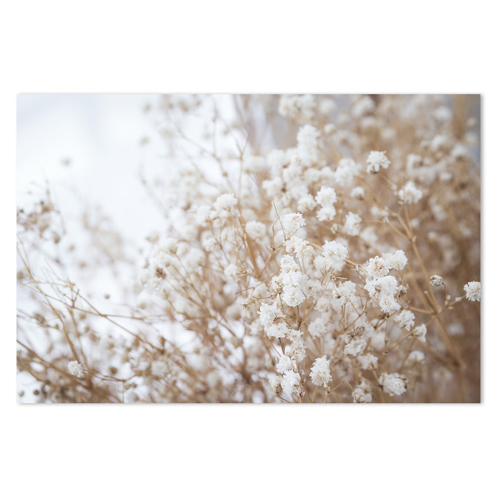 Snow Flowers-Framed-Canvas-Print-Poster-Gioia Wall Art