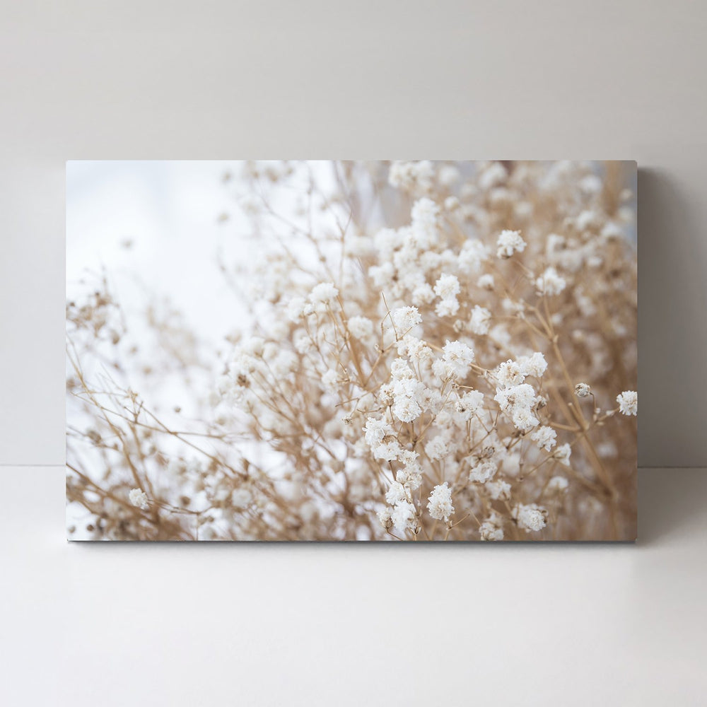 Snow Flowers-Framed-Canvas-Print-Poster-Gioia Wall Art