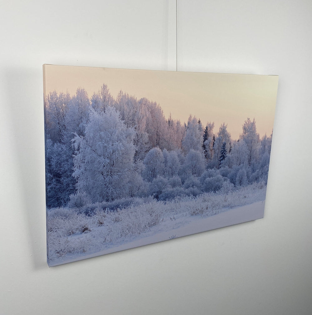 wall-art-print-canvas-poster-framed-Snowy Forest-by-Gioia Wall Art-Gioia Wall Art