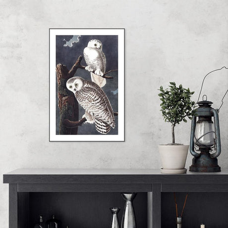wall-art-print-canvas-poster-framed-Snowy Owl By John James Audubon-by-Gioia Wall Art-Gioia Wall Art
