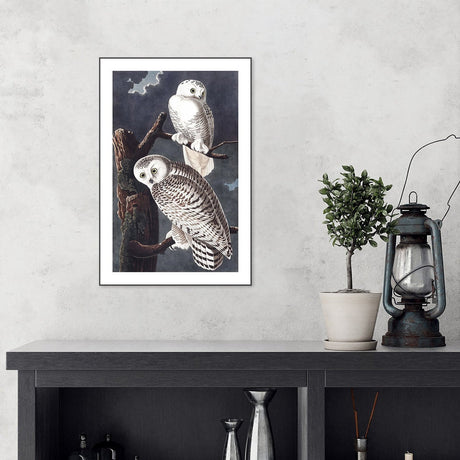 wall-art-print-canvas-poster-framed-Snowy Owl, By John James Audubon-by-Gioia Wall Art-Gioia Wall Art