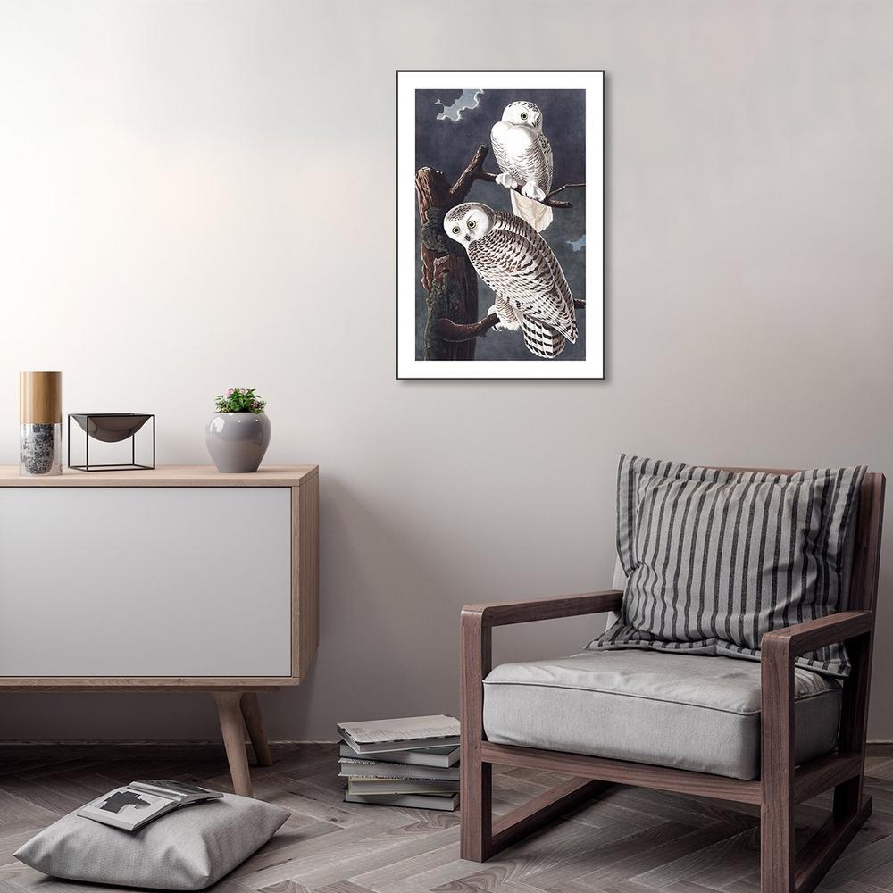 wall-art-print-canvas-poster-framed-Snowy Owl By John James Audubon-by-Gioia Wall Art-Gioia Wall Art