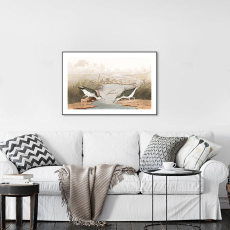 wall-art-print-canvas-poster-framed-Spotted Sandpiper, By John James Audubon-by-Gioia Wall Art-Gioia Wall Art