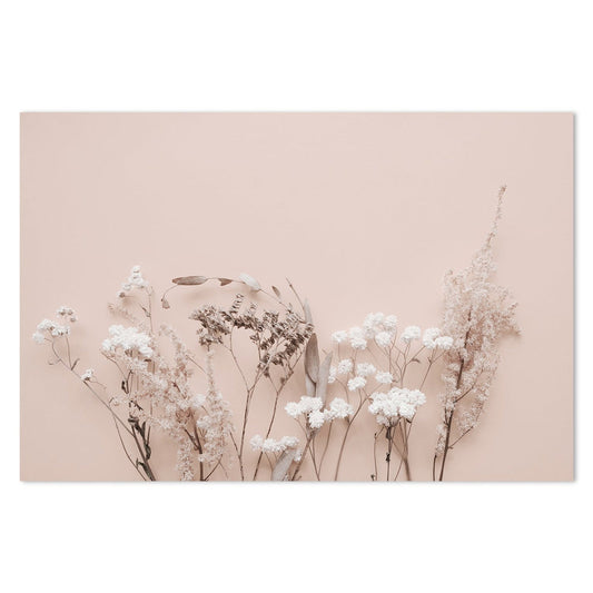 Still Life Stems On A Pastel Pink Background-Framed-Canvas-Print-Poster-Gioia Wall Art