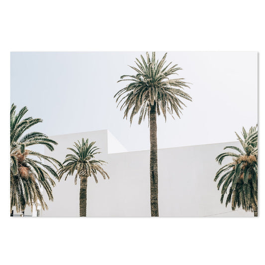 Buy Still Palm Trees Wall Art Online, Framed Canvas Or Poster