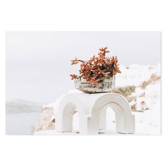 Succulent Pot in Santorini, Style A-Gioia-Prints-Framed-Canvas-Poster-GIOIA-WALL-ART