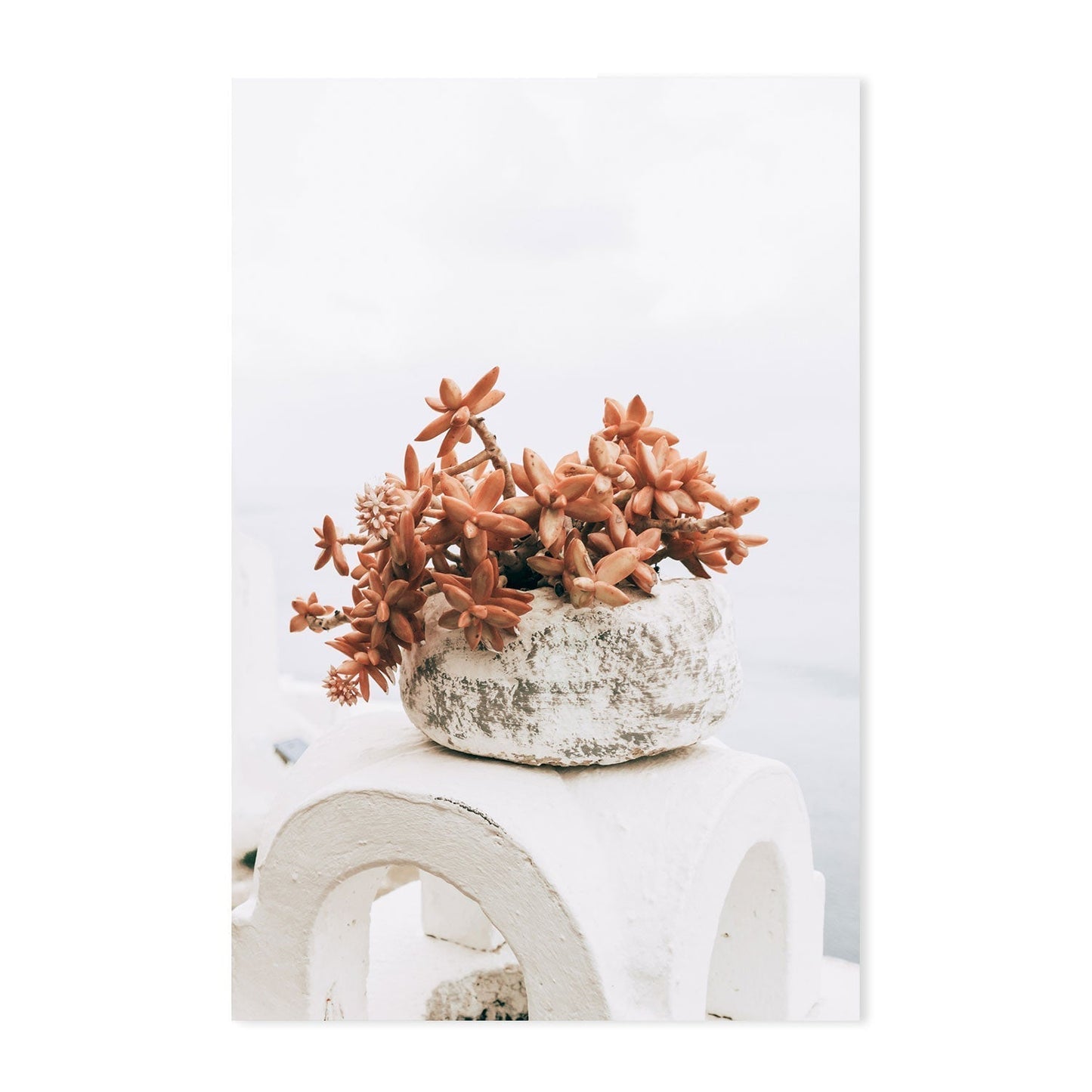 Succulent Pot in Santorini, Style B-Gioia-Prints-Framed-Canvas-Poster-GIOIA-WALL-ART