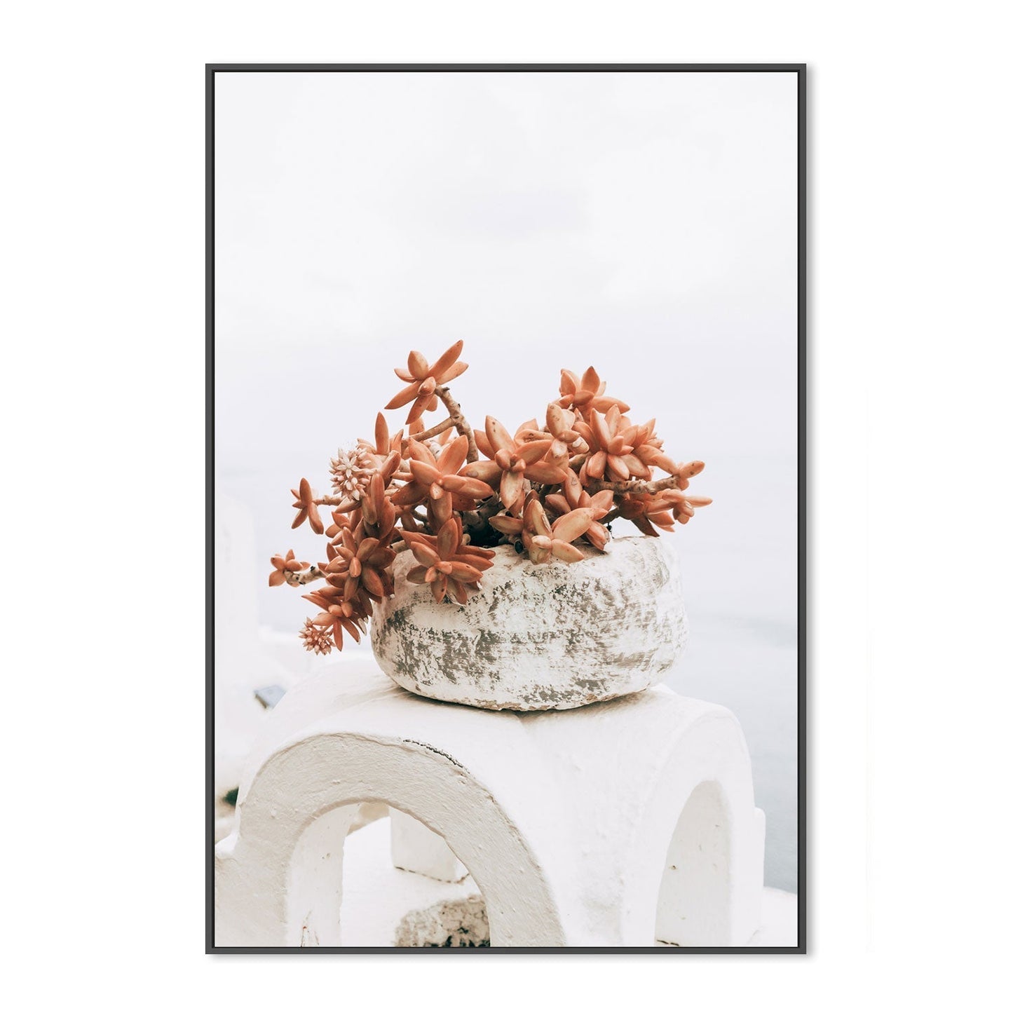 Succulent Pot in Santorini, Style B-Gioia-Prints-Framed-Canvas-Poster-GIOIA-WALL-ART