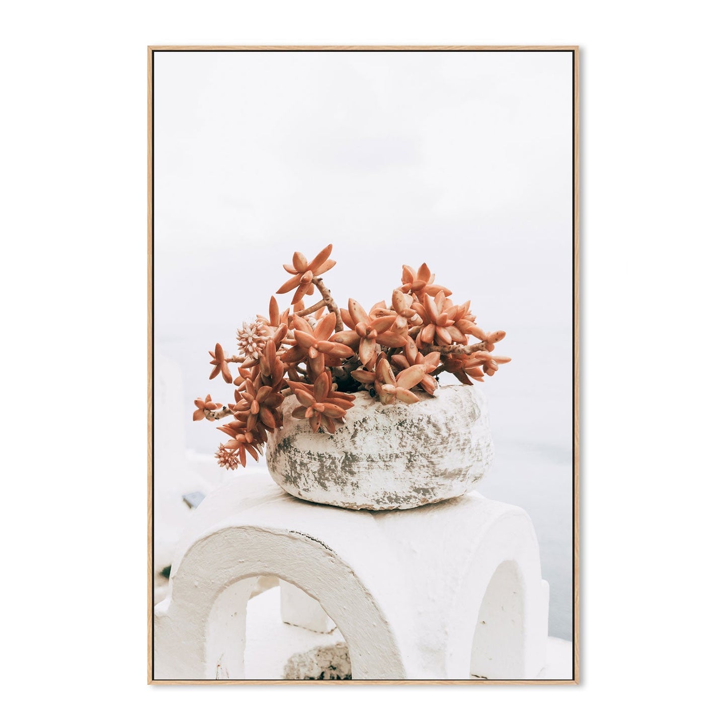 Succulent Pot in Santorini, Style B-Gioia-Prints-Framed-Canvas-Poster-GIOIA-WALL-ART