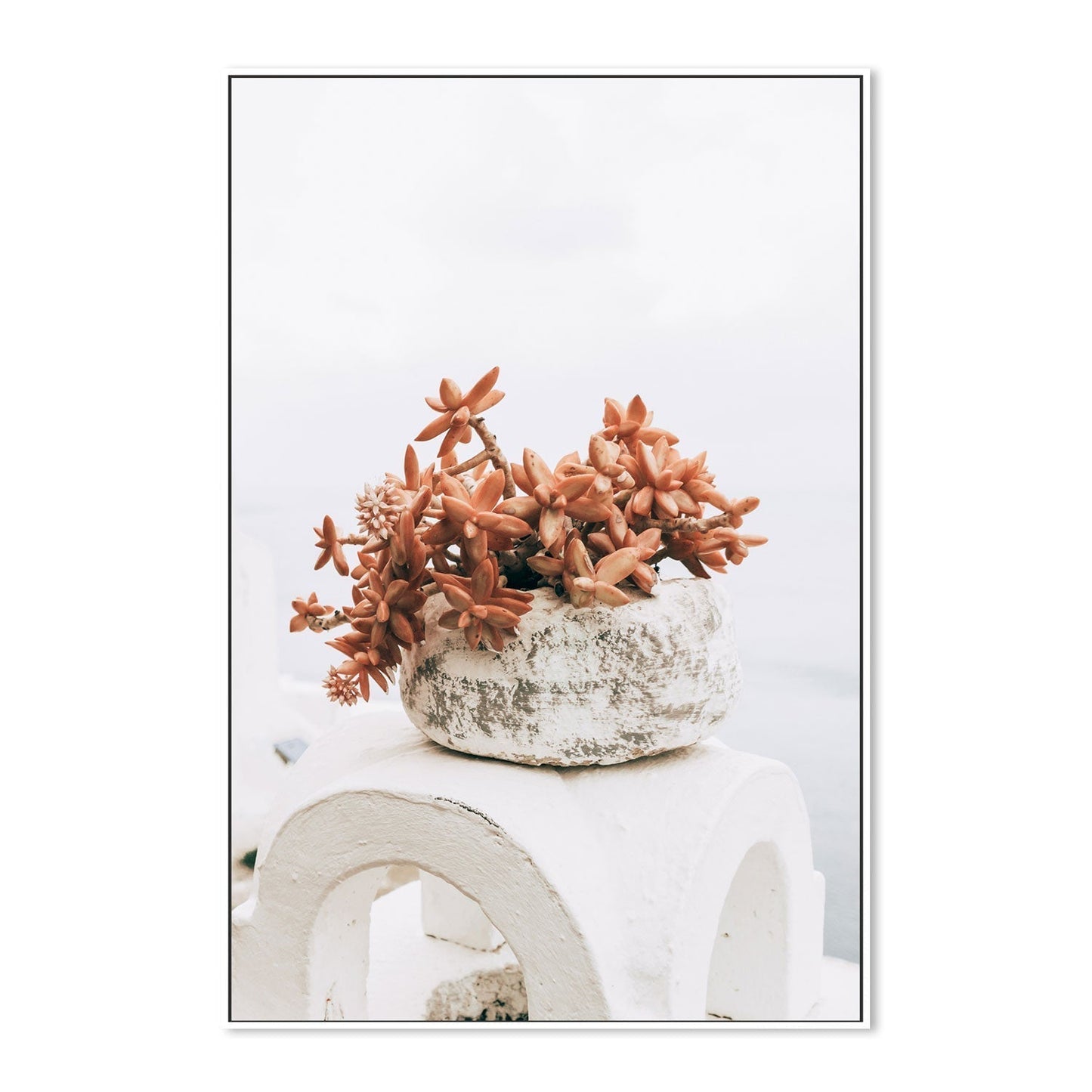 Succulent Pot in Santorini, Style B-Gioia-Prints-Framed-Canvas-Poster-GIOIA-WALL-ART