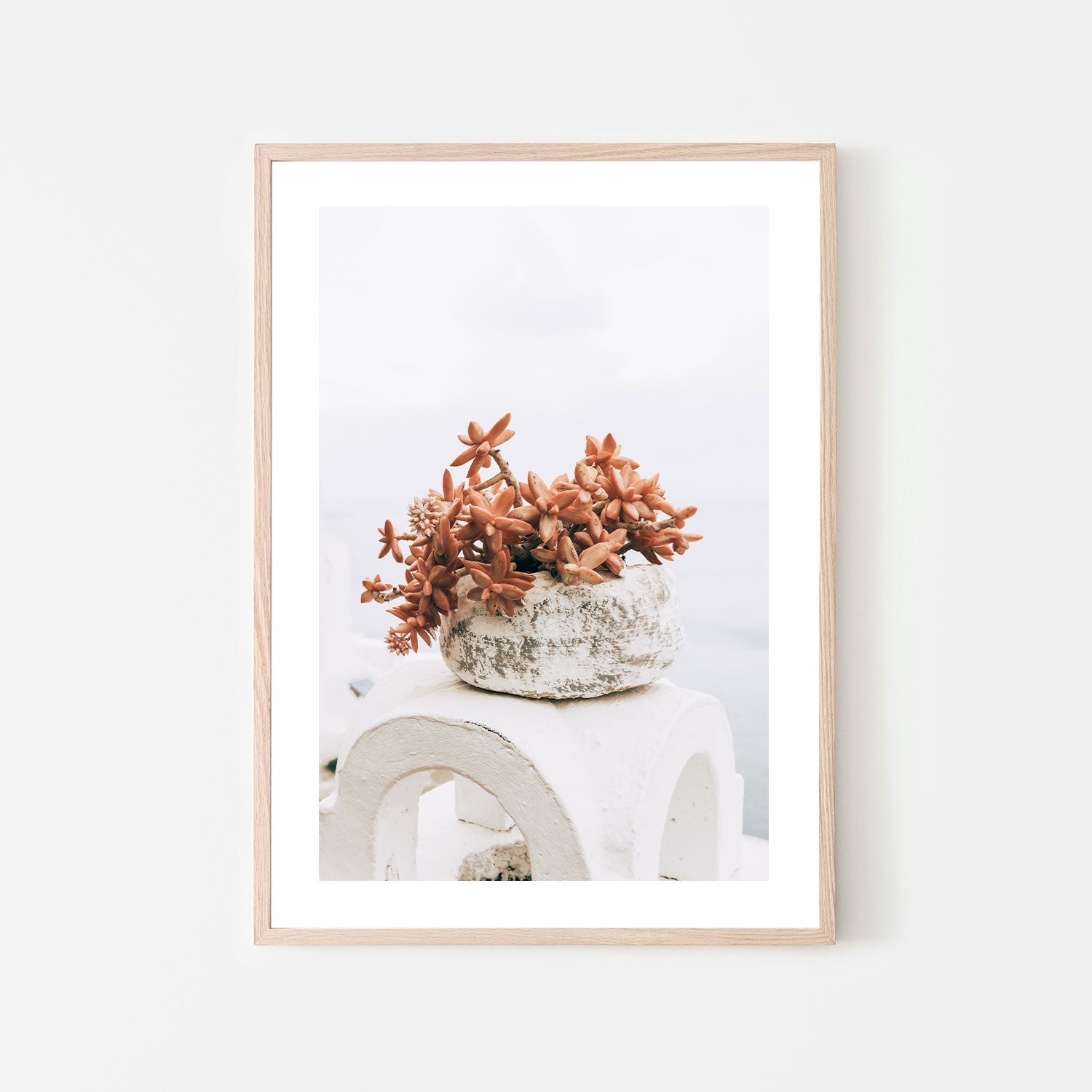 Succulent Pot in Santorini, Style B-Gioia-Prints-Framed-Canvas-Poster-GIOIA-WALL-ART