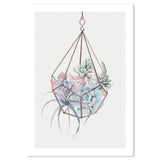 wall-art-print-canvas-poster-framed-Succulents Hanging Basket, Watercolour-by-Gioia Wall Art-Gioia Wall Art