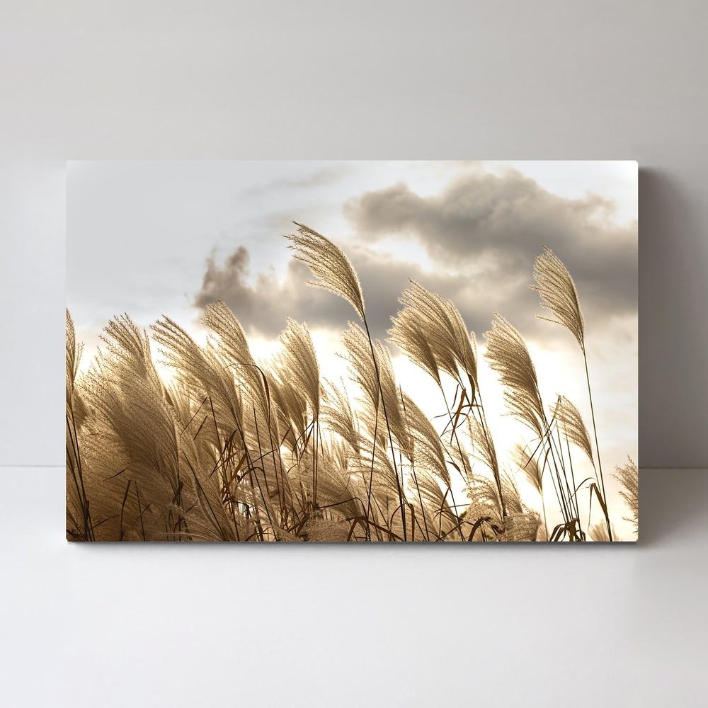 wall-art-print-canvas-poster-framed-Sunset Pampas Grass-by-Gioia Wall Art-Gioia Wall Art