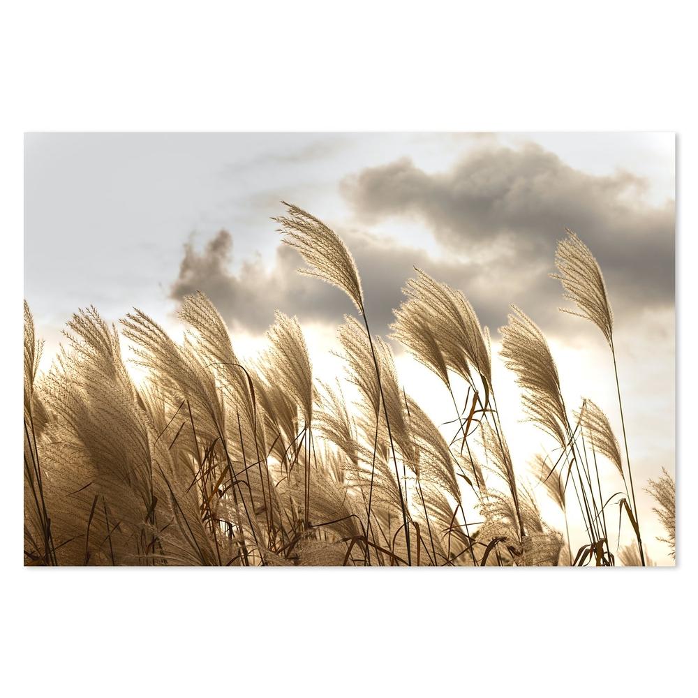 wall-art-print-canvas-poster-framed-Sunset Pampas Grass-by-Gioia Wall Art-Gioia Wall Art