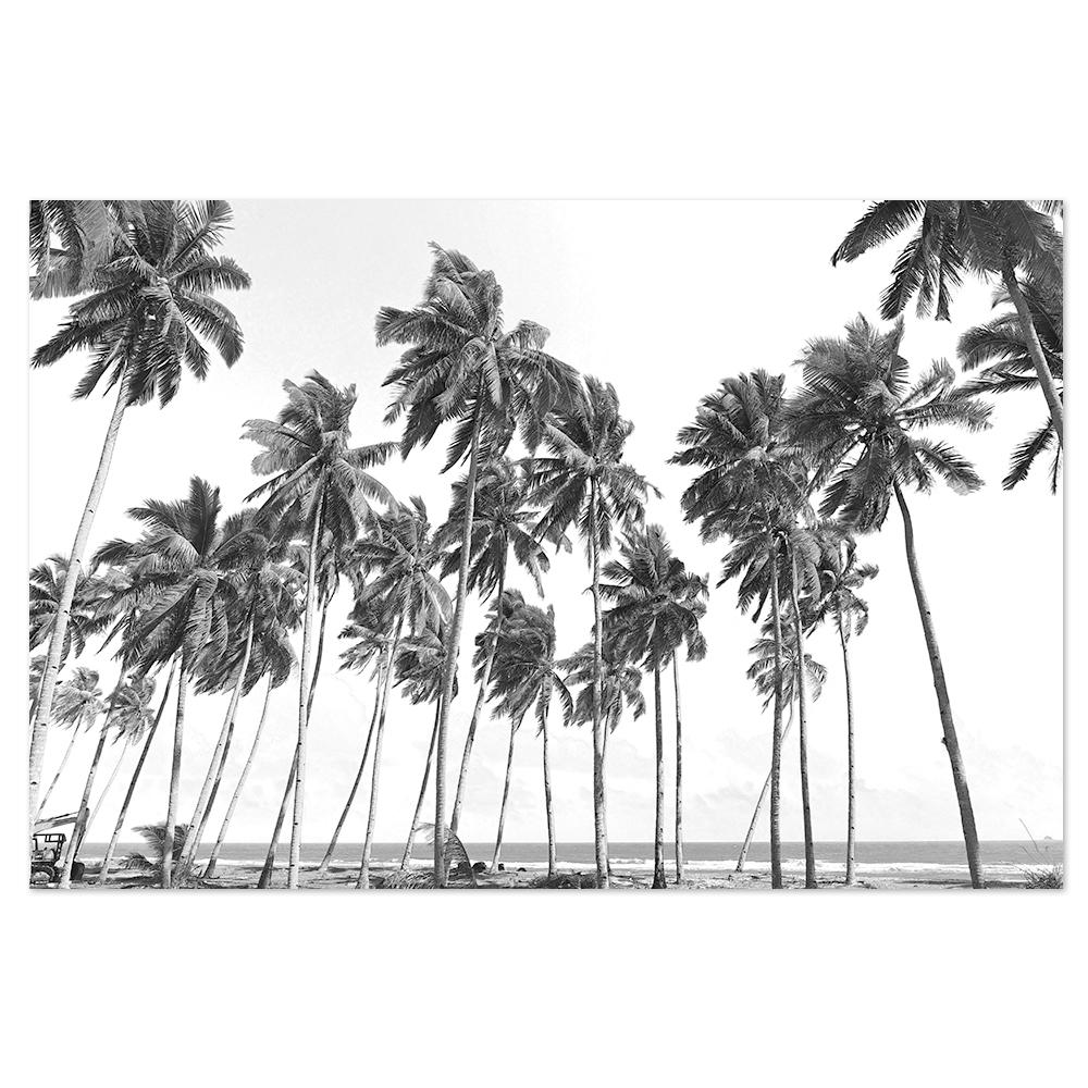 wall-art-print-canvas-poster-framed-Swaying Palm Trees-by-Gioia Wall Art-Gioia Wall Art