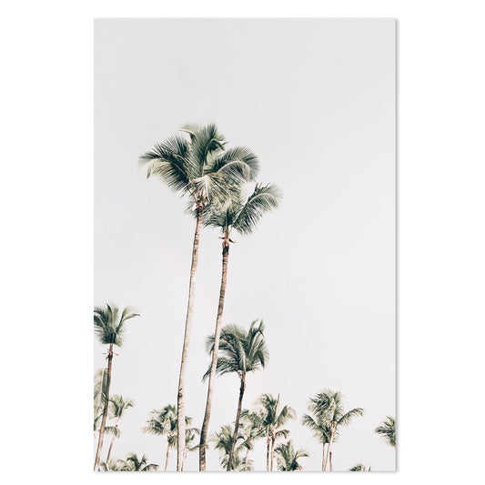 Buy Tall Palms Wall Art Online, Framed Canvas Or Poster