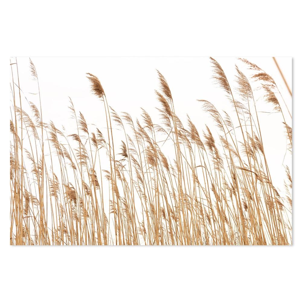 wall-art-print-canvas-poster-framed-Tan Coastal Reeds-by-Gioia Wall Art-Gioia Wall Art