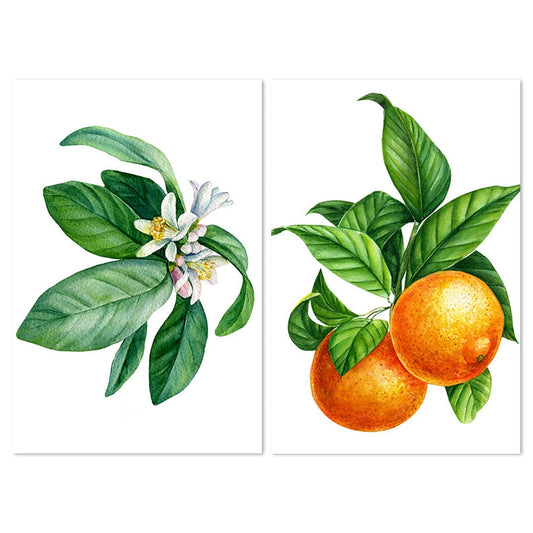 wall-art-print-canvas-poster-framed-Tangy Tangerine, Set Of 2-by-Gioia Wall Art-Gioia Wall Art