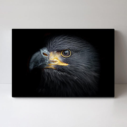 wall-art-print-canvas-poster-framed-The Eagle Eye-by-Gioia Wall Art-Gioia Wall Art