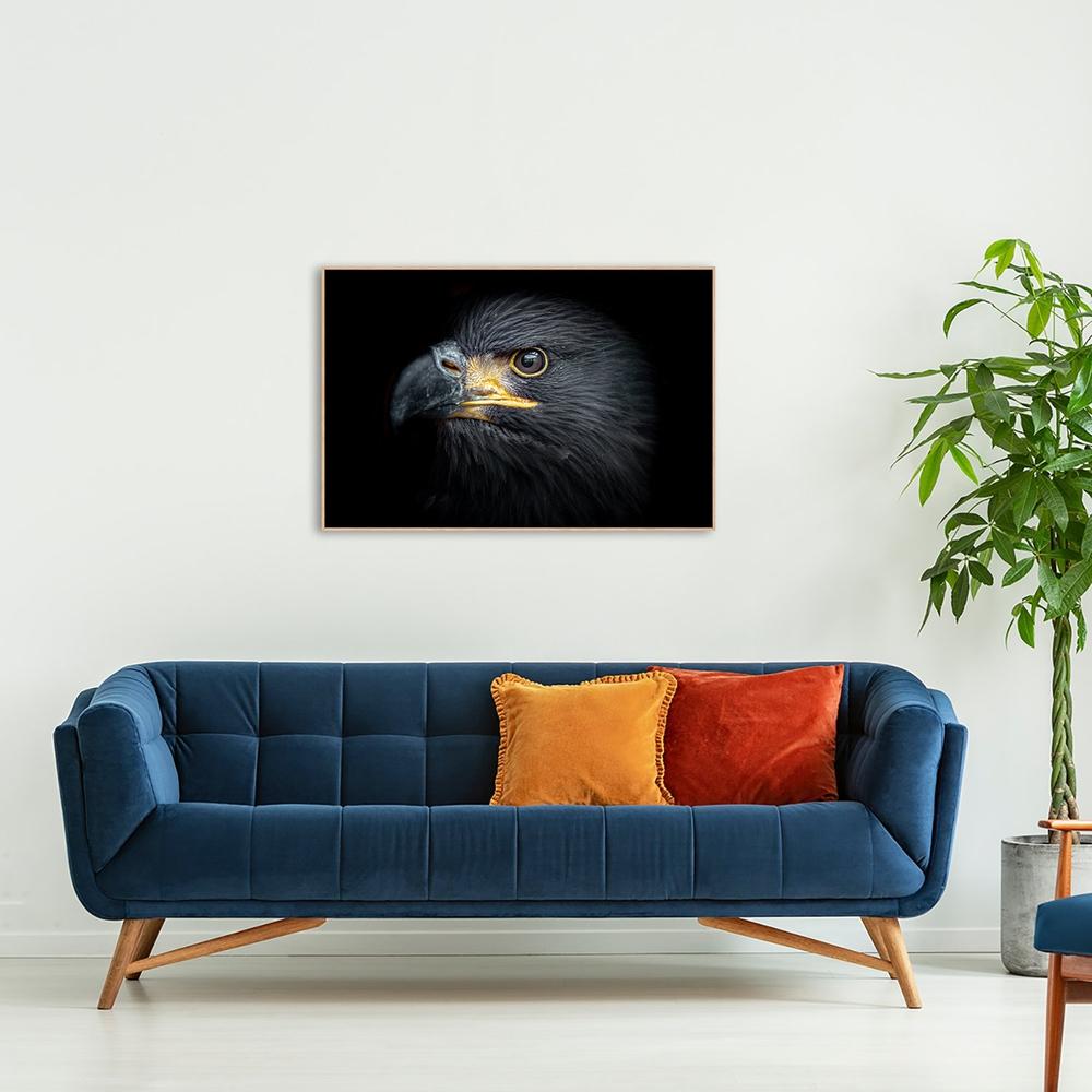 wall-art-print-canvas-poster-framed-The Eagle Eye-by-Gioia Wall Art-Gioia Wall Art