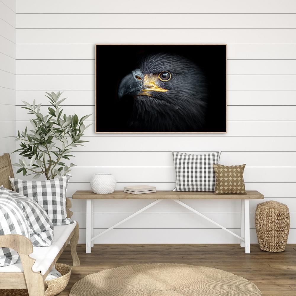 wall-art-print-canvas-poster-framed-The Eagle Eye-by-Gioia Wall Art-Gioia Wall Art