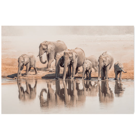 wall-art-print-canvas-poster-framed-The Elephant Family-by-Gioia Wall Art-Gioia Wall Art