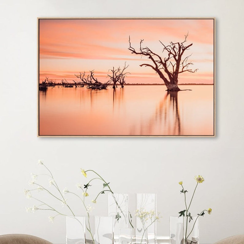 wall-art-print-canvas-poster-framed-The Old Red Gum Tree, Lake Booney, South Australia-by-Gioia Wall Art-Gioia Wall Art