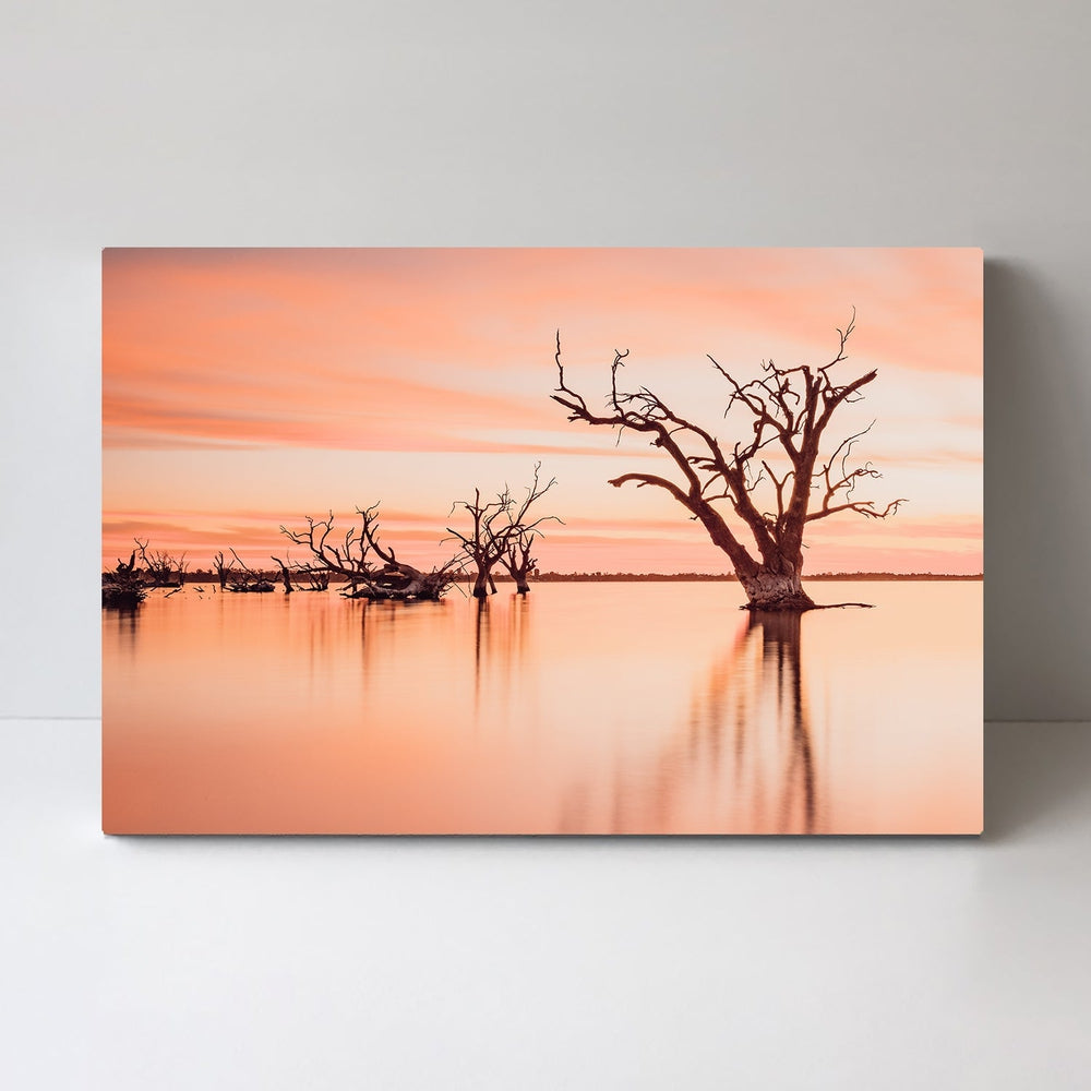 wall-art-print-canvas-poster-framed-The Old Red Gum Tree, Lake Booney, South Australia-by-Gioia Wall Art-Gioia Wall Art