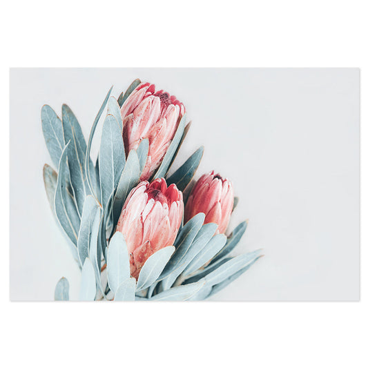 wall-art-print-canvas-poster-framed-Three Fresh Protea Blooms-by-Gioia Wall Art-Gioia Wall Art