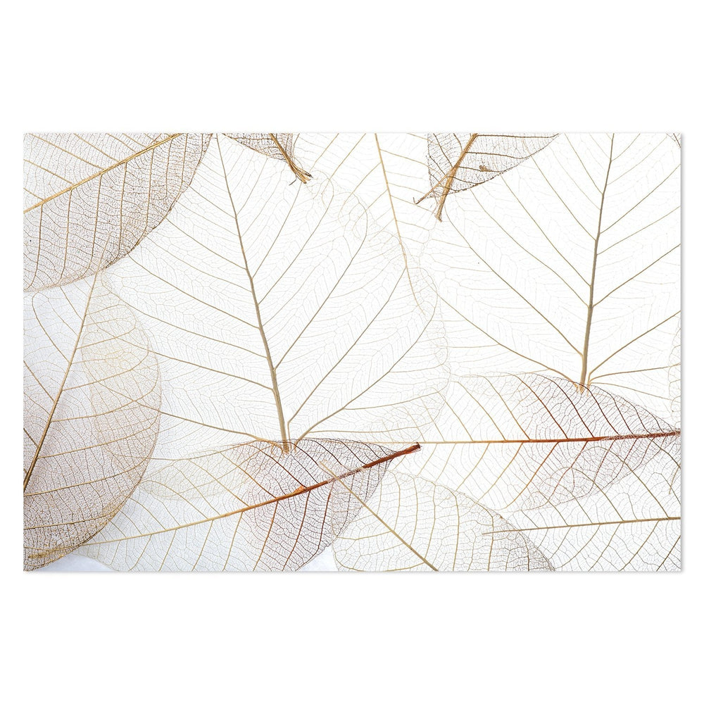 wall-art-print-canvas-poster-framed-Translucent Leaves-by-Gioia Wall Art-Gioia Wall Art