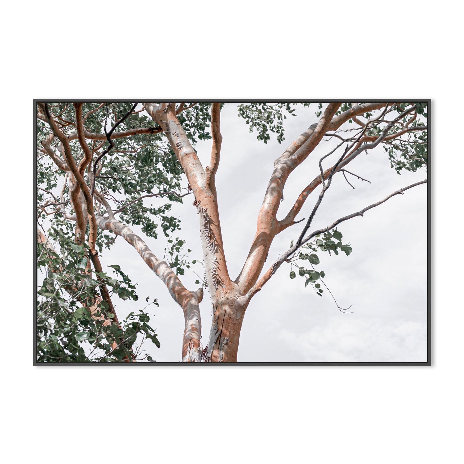 wall-art-print-canvas-poster-framed-Treetop View, Style A-GIOIA-WALL-ART