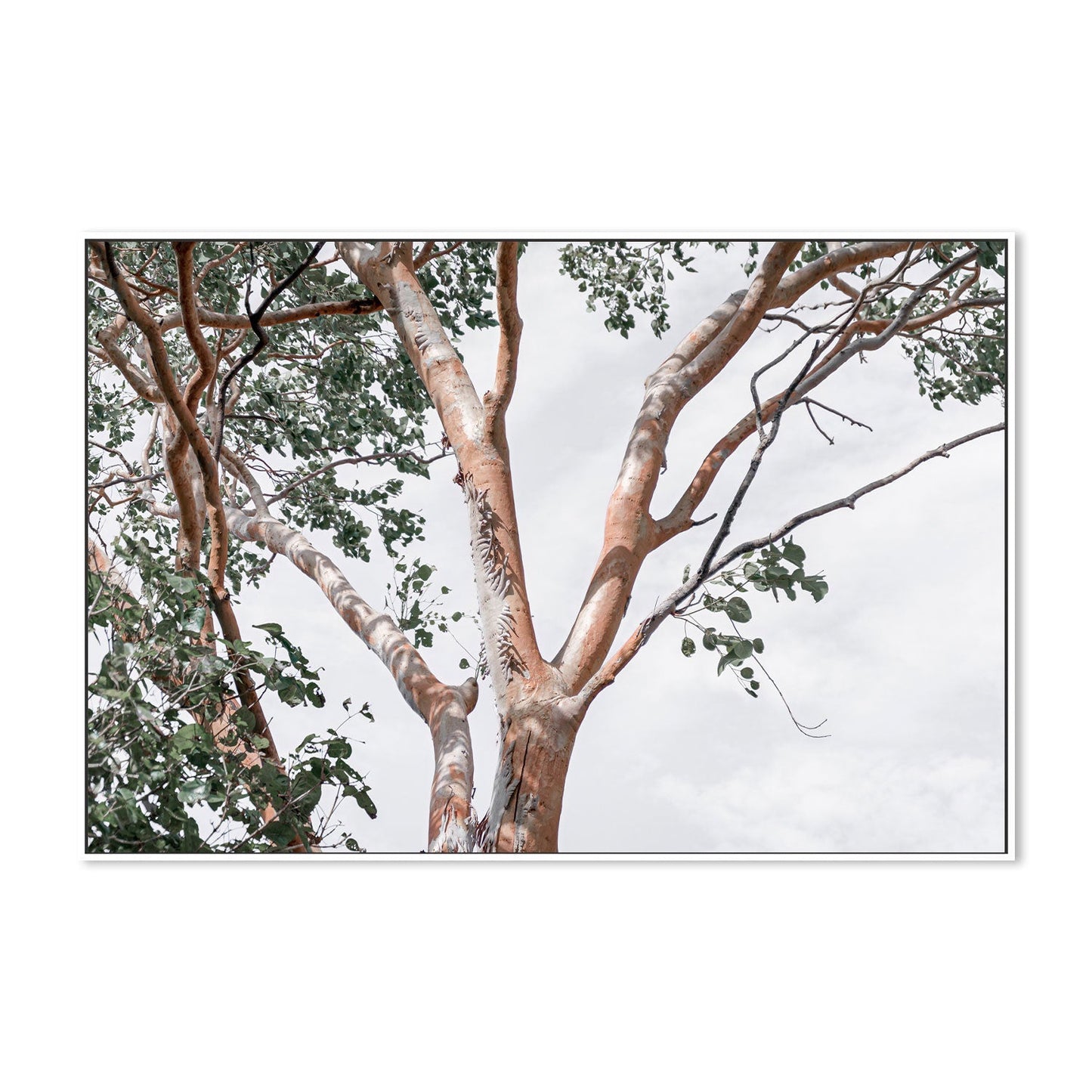 wall-art-print-canvas-poster-framed-Treetop View, Style A-GIOIA-WALL-ART