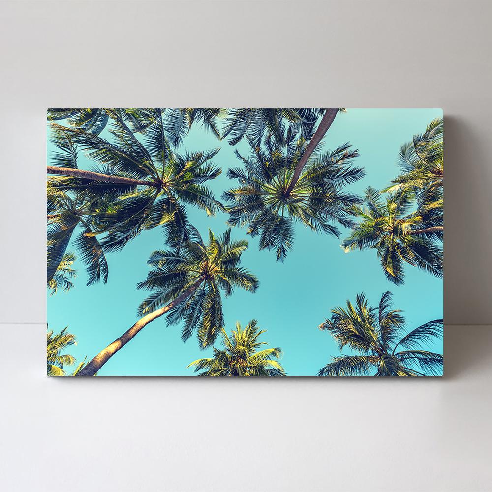 wall-art-print-canvas-poster-framed-Turquoise Sky And Palm Trees-by-Gioia Wall Art-Gioia Wall Art