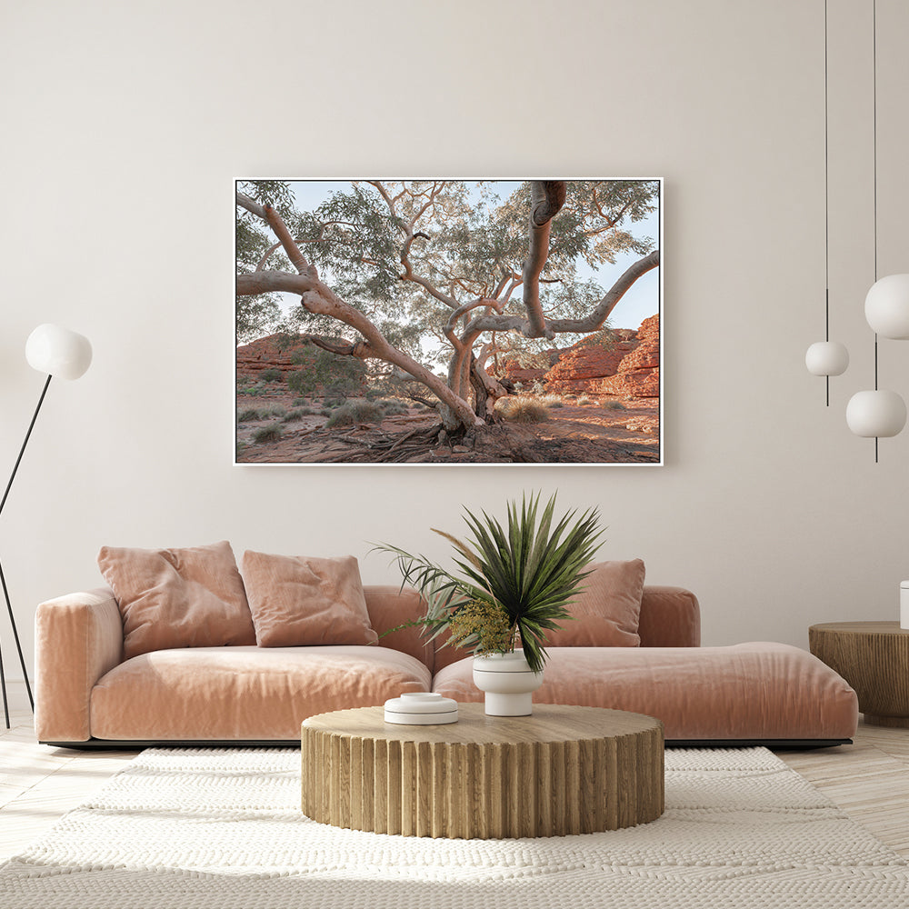 wall-art-print-canvas-poster-framed-Twisting Gum Tree-GIOIA-WALL-ART