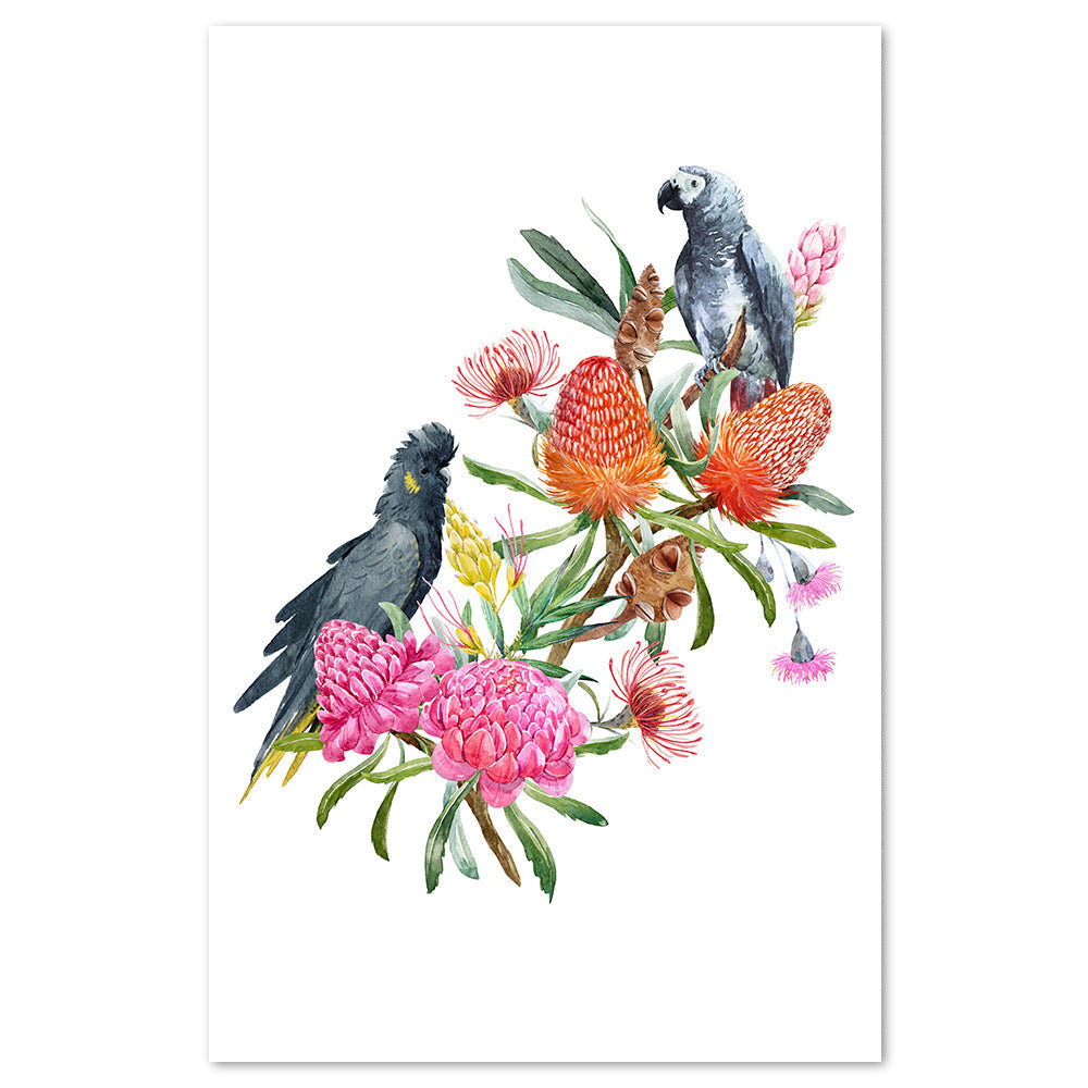 wall-art-print-canvas-poster-framed-Watercolour Australian Floral Bouquet, Banksias Flowers, Eucalyptus, Grey Parrot And Black Cockatoo.-by-Gioia Wall Art-Gioia Wall Art