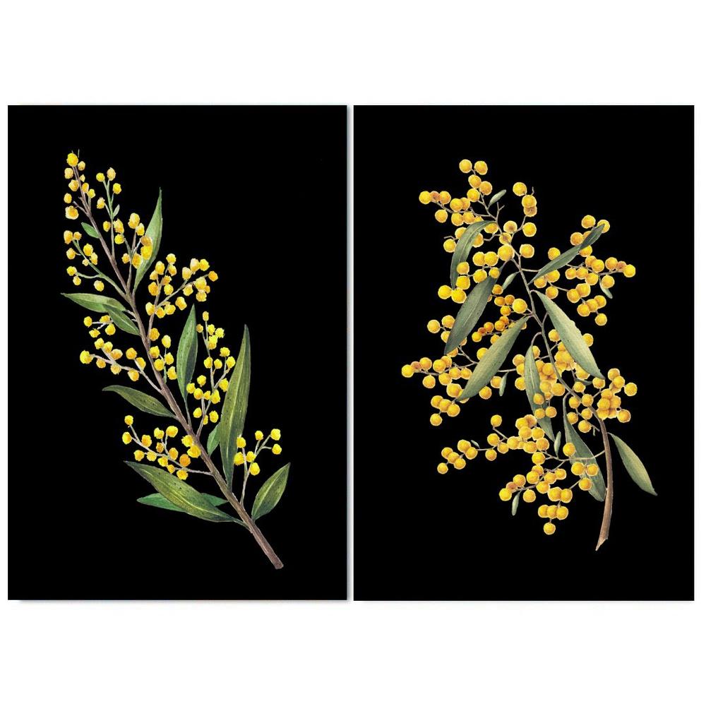 wall-art-print-canvas-poster-framed-Wattles Acacia, Set Of 2-by-Gioia Wall Art-Gioia Wall Art