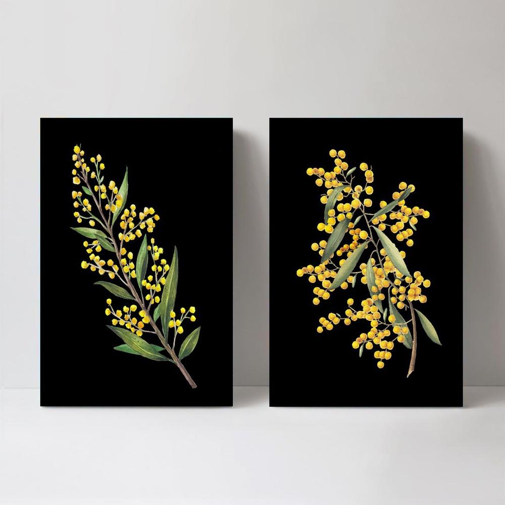 wall-art-print-canvas-poster-framed-Wattles Acacia, Set Of 2-by-Gioia Wall Art-Gioia Wall Art