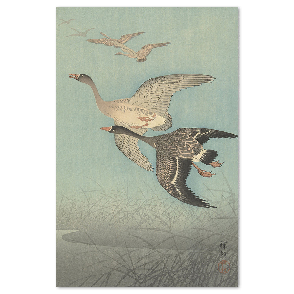 wall-art-print-canvas-poster-framed-White-Fronted Geese In Flight, 1925-36, By Ohara Koson-by-Gioia Wall Art-Gioia Wall Art