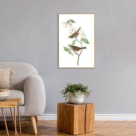 wall-art-print-canvas-poster-framed-White Throated Sparrow, By John James Audubon-by-Gioia Wall Art-Gioia Wall Art