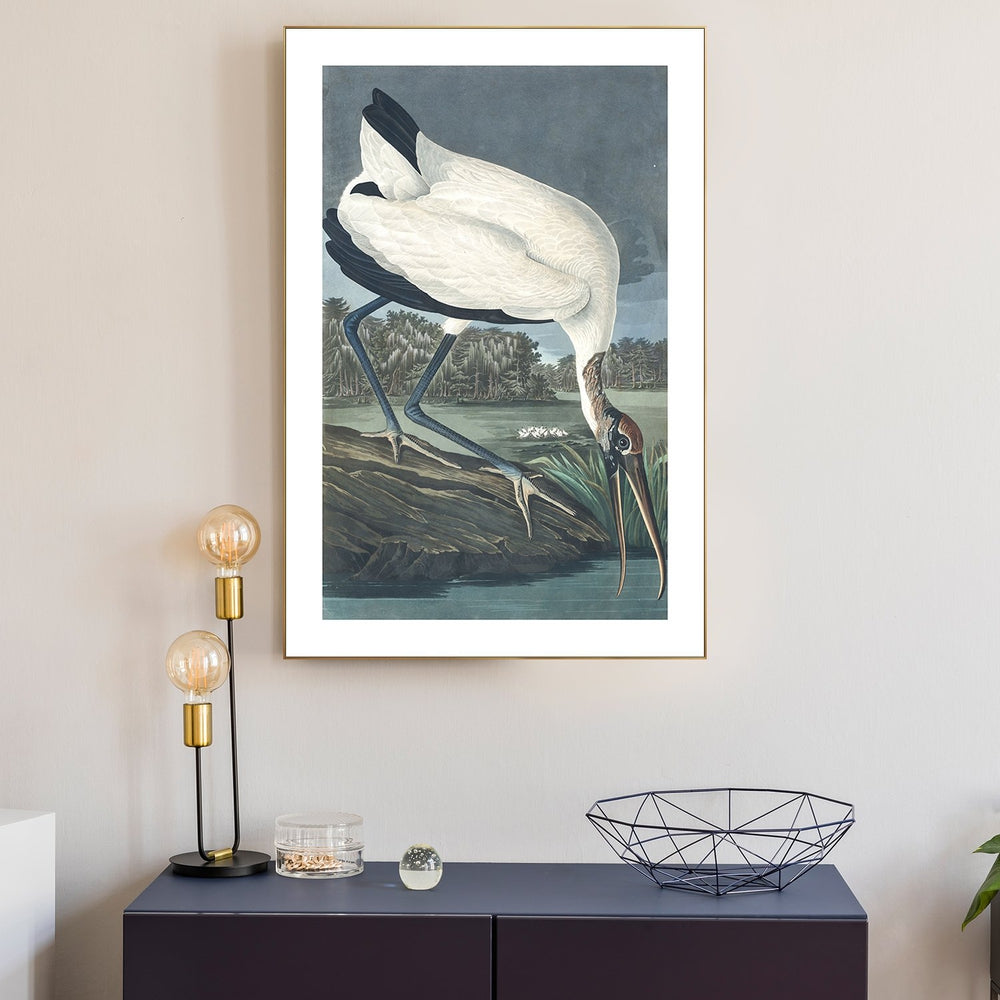 wall-art-print-canvas-poster-framed-Wood Ibis, By John James Audubon-by-Gioia Wall Art-Gioia Wall Art