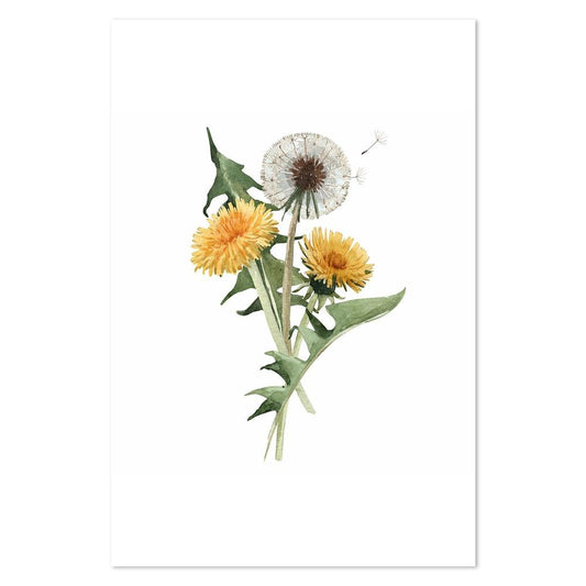 wall-art-print-canvas-poster-framed-Yellow And White Dandelions-by-Gioia Wall Art-Gioia Wall Art