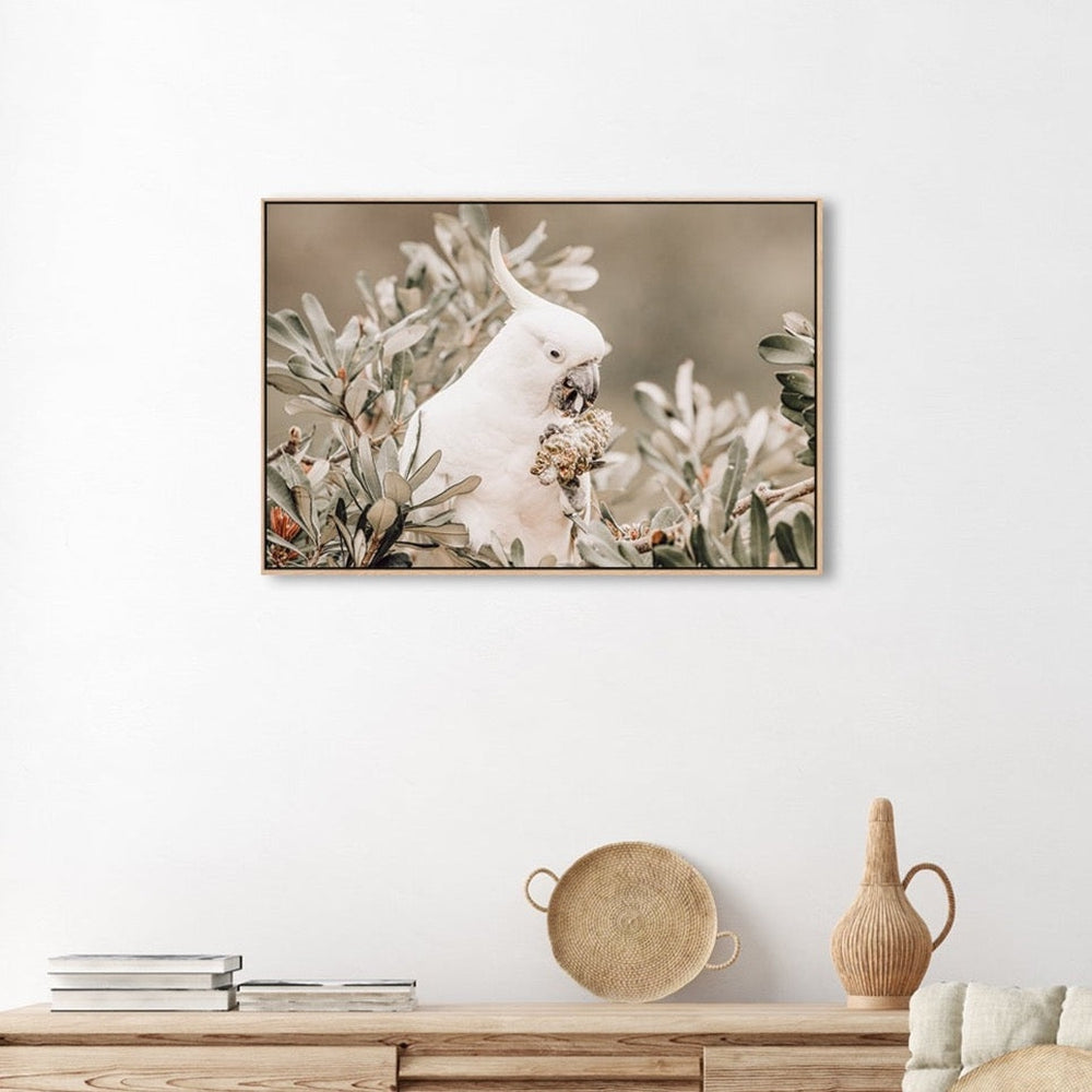 wall-art-print-canvas-poster-framed-Yummy Treat For Cockatoo-by-Gioia Wall Art-Gioia Wall Art