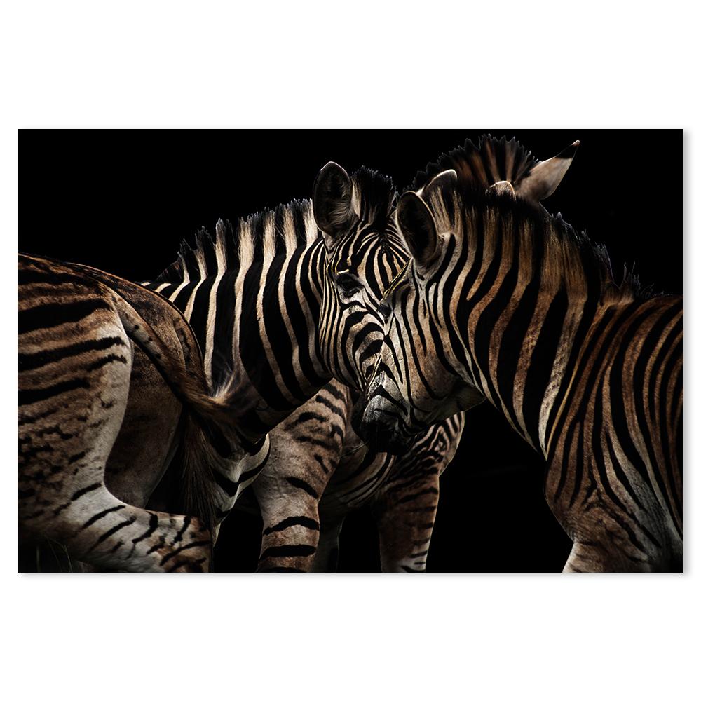 wall-art-print-canvas-poster-framed-Zebra Gathering-by-Gioia Wall Art-Gioia Wall Art